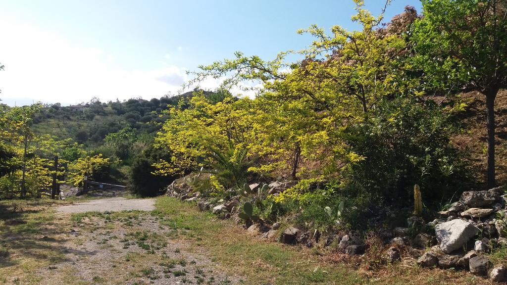 Вилла Casa Vacanze Poggio Degli Ulivi Ашеа Экстерьер фото